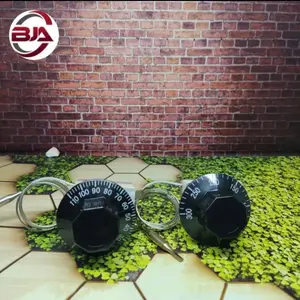 Analog Thermostat FTC-110 FTC-300 no FORT Pengatur Suhu Thermo Control