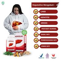 Gambar Hepatolive Asli Original Obat Liver Hepatitis HBsAg Penyakit Kuning Pembengkakan Hati Limfa dari De Nature Office Jakarta Kota Administrasi Jakarta Timur 4 Tokopedia