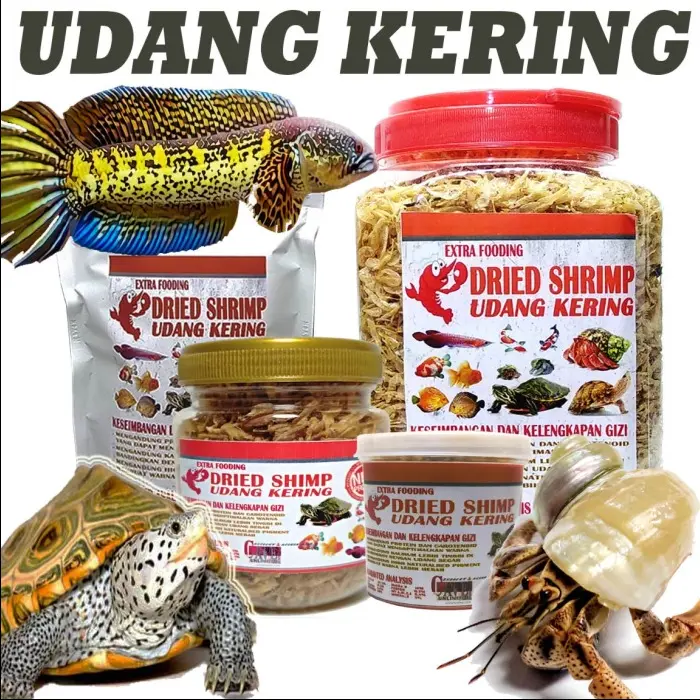 Udang makanan pakan reptile kura kura res brazil ikan turtle kelomang
