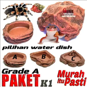 PAKET K1 GRADE A HIDING CAVE + WATERDISH SEPAKET TEMPAT MAKAN MINUM TARANTULA KELOMANG GOA TEMPAT SEMBUNYI GECKO REPTIL