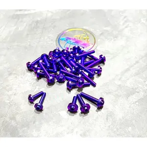 BAUT DRAT 8 M5 TITANIUM BIG HEAD M5X15,20,25,MM BOLT TITANIUM GR5