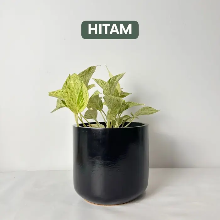 Gambar Workplant - Jivan Concrete Pot D17 - Hitam, Packing kardus dari workplant official Kota Surabaya 5 Tokopedia