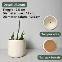 Gambar Workplant - Jivan Concrete Pot D14 - Marble, Packing Kardus dari workplant official Kota Surabaya 2 Tokopedia