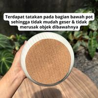 Gambar Workplant - Jivan Concrete Pot D14 - Marble, Packing Kardus dari workplant official Kota Surabaya 4 Tokopedia
