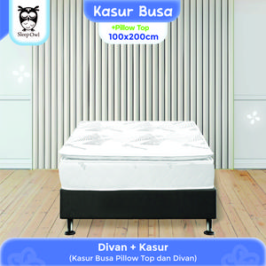 Dipan Rangka Tempat Tidur |Divan Minimalis|Ranjang Kasur Springbed 100