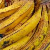 Gambar Pisang Tanduk Super Cocok Untuk Pisang Goreng I Pisang Kukus dll Harga Per 1 PCS dari RAJA ALPUKAT Kota Administrasi Jakarta Timur 2 Tokopedia
