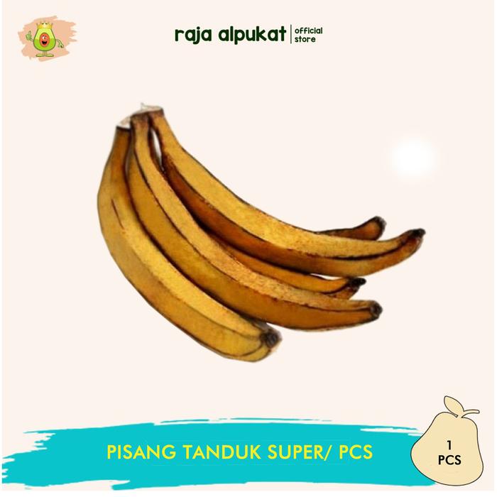 Gambar Pisang Tanduk Super Cocok Untuk Pisang Goreng I Pisang Kukus dll Harga Per 1 PCS dari RAJA ALPUKAT Kota Administrasi Jakarta Timur Tokopedia