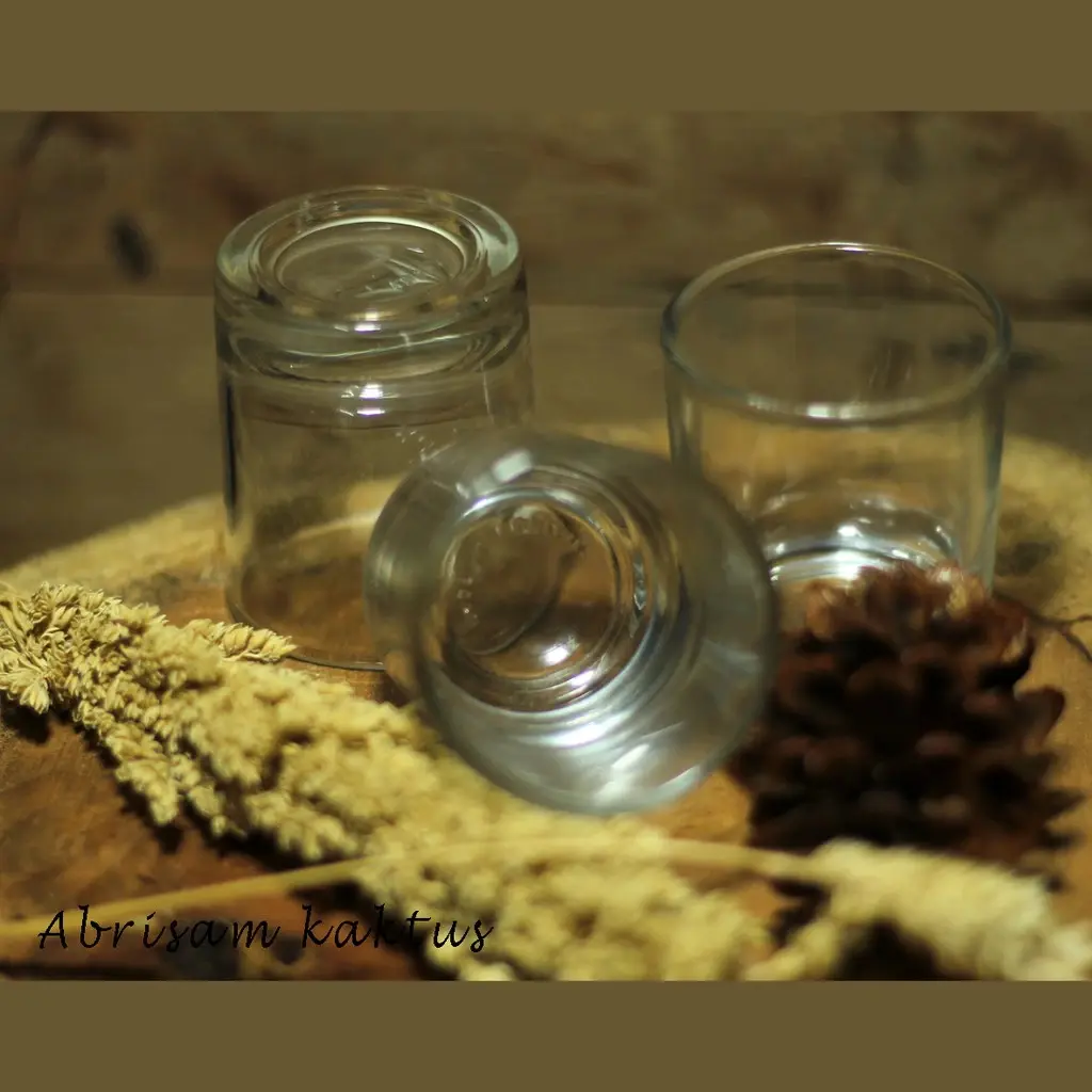Gelas Sloky Mini Tempat Lilin Pot Tanaman Kaktus Sukulen Gelas Shoot Sloki