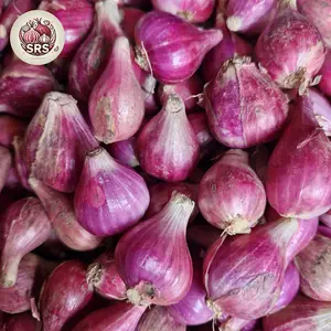 Bawang Merah Brebes campur  kemasan 1 kg dan 1/2 kg