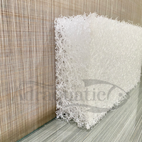 Gambar Mayin Filter Mat Uk. 25x10 cm Cashmere Media Filter Kolam Aquarium Pond Japmat Japmatt Japanese Filter Mat Matt Biologis Mekanis Rumah Bakteri - TEBAL 5 CM dari ADRAQUATIC Kota Bandung 3 Tokopedia