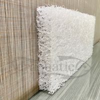 Gambar Mayin Filter Mat Uk. 25x10 cm Cashmere Media Filter Kolam Aquarium Pond Japmat Japmatt Japanese Filter Mat Matt Biologis Mekanis Rumah Bakteri - TEBAL 5 CM dari ADRAQUATIC Kota Bandung 2 Tokopedia