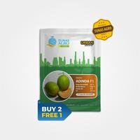Gambar BENIH MELON ADINDA F1 TUNAS AGRO Urban Farming Small Pack (Eksklusif) dari Tunas Agro Persada Kab. Demak 1 Tokopedia