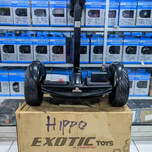 SCOOTER ELEKTRIK / SMART BALANCE HOVER BOARD SCOOTER EXOTIC ST 8150