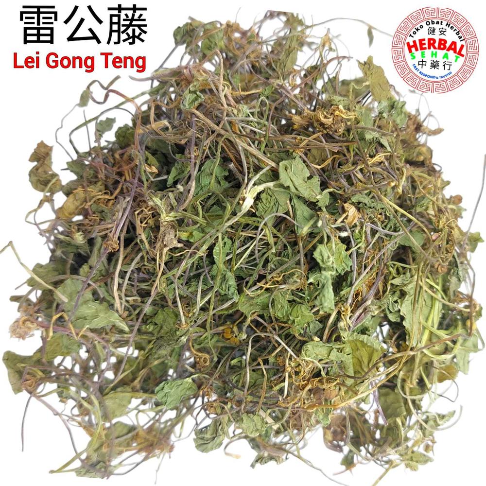 Lei Gong Teng 雷公藤 Tripterigium Wilfordii - 100 Gram