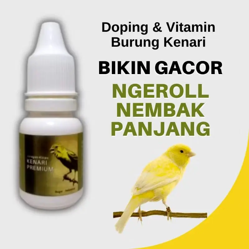 Vitamin Burung Kenari Premium Biar Cepat Gacor