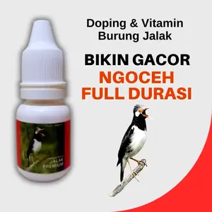 Vitamin Burung Jalak Premium Gacor ngoceh Full Durasi