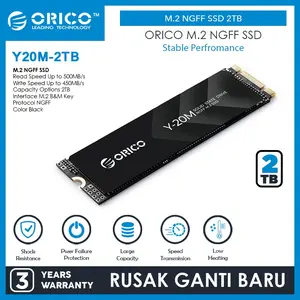 ORICO M.2 SATA M.2 NGFF SSD 2TB - Y20M