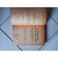 Gambar Chinese Cinderella And The Secret Dragon Society dari Toko Buku Bekas Aksiku Kota Administrasi Jakarta Timur 3 Tokopedia