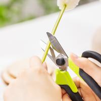 Gambar Deli Tools Gunting Tumbuhan Kecil Garden Shears 7.5 Inch DL580100A dari Deli Tools Official Kota Surabaya 4 Tokopedia