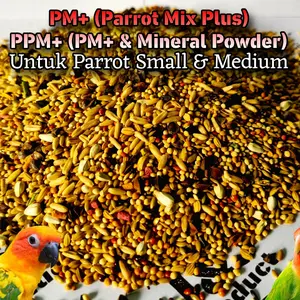 Parrot Pharmacy Mix Plus (10kg) JJ Birdstore  Vitamin Lovebird