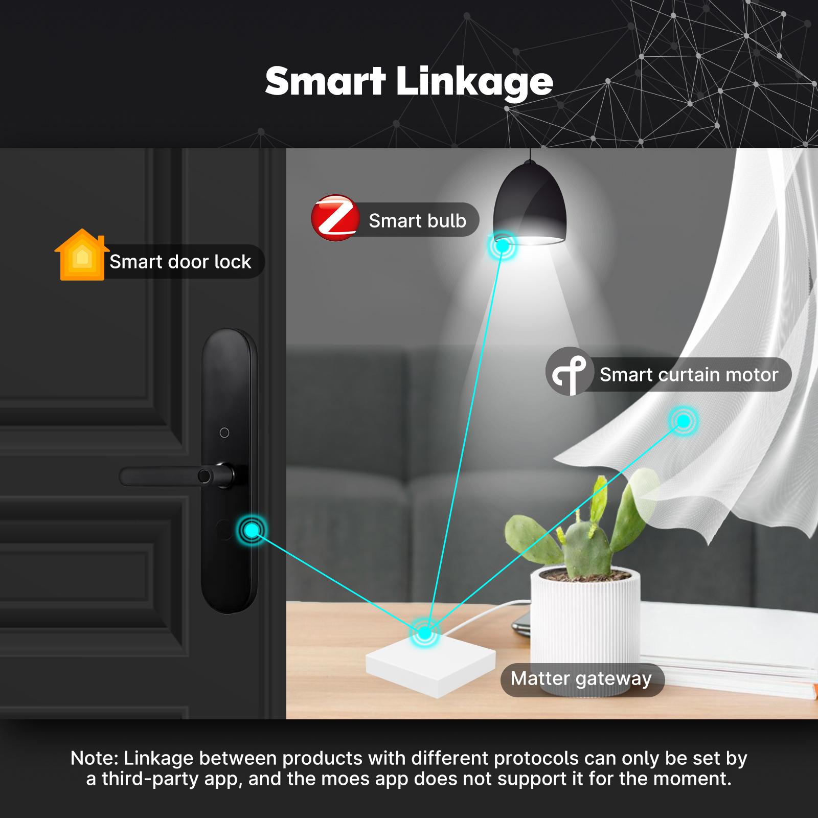 Matter Protocol Smart Home Zigbee Gateway, Thread Protocol, App Remote Wired Smart Gateway