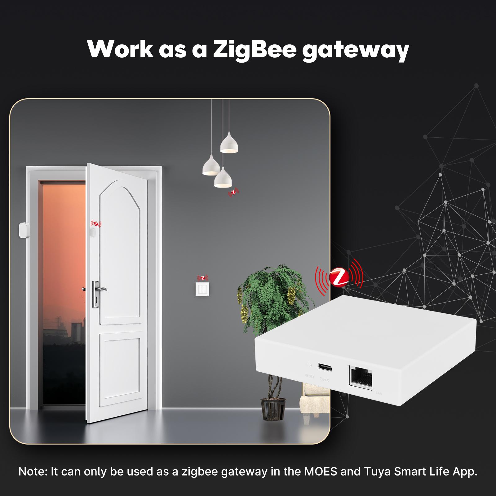 Matter Protocol Smart Home Zigbee Gateway, Thread Protocol, App Remote Wired Smart Gateway