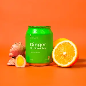 Ginger Mix Sparkling Herbaldoc Soda Soft Drink Kaleng Can