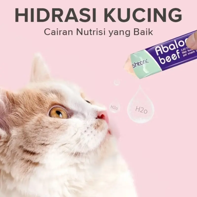 Snack Makanan Kucing Berkualitas Bernutrisi Termurah Promo 6