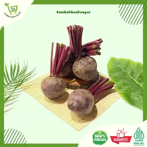 BEET ROOT | BUAH BIT MERAH SUPER