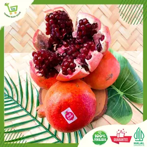 Diskon 50% Canned Red Pomegranate : Delima Import Premium Dengan Sensasi Rasa Manis dan Segar