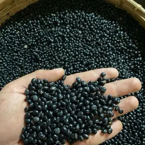 KEDELAI HITAM 1Kg/1000g | DELE IRENG | KEDELAI MALIKA | BLACK SOY BEAN | DIJAMIN TERMURAH Biji Seed
