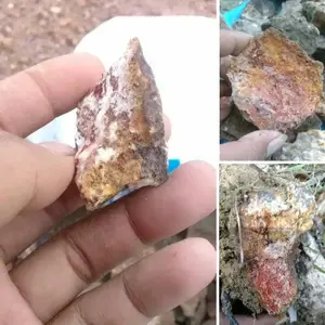 satu bongkah batuan mengandung AU