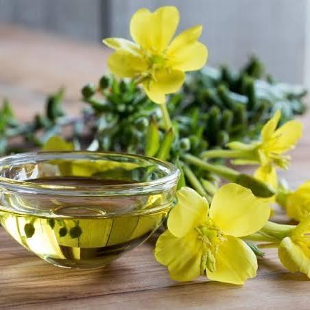 Evening Primrose Oil (1 Liter)