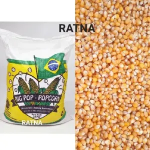 Jagung Popcorn Premium 1 kg (Big Pop Brazil) Jagung Popcorn Mentah