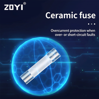 Gambar ZOYI Fuse Keramik Fuse For Multimeter Instrument 200mA 3.5mmx10mm 250V dari House Sparepart Kab. Tangerang 3 Tokopedia