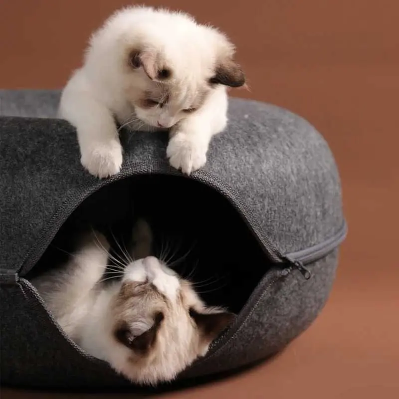 KOZI Tempat Tidur Kucing Mainan Terowongan Cat Donut Tunnel Bed - Q60 4