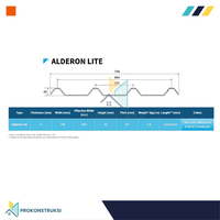 Gambar Alderon Lite Twinwall 6mm - Putih dari Alderon Polycarbonate Kota Tangerang Selatan 3 Tokopedia