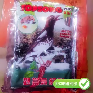 Pakan Burung Kicau Topsong Plus 3 in 1 | Pakan Kicau Murai Batu | Tingkatkan Durasi dan Volume Kicauan | Nutrisi Lengkap untuk Burung Berkicau | Bikin Kacer Makin Gacor