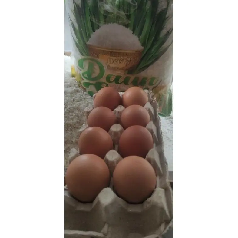 TELUR AYAM NEGRI 1 KG MURAH INSTAN 1