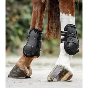 Waldhausen Memory Foam Fetlock Jumping Boots Equestrian Pelindung Kaki Kuda