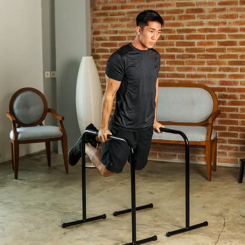 PACKAGE D (Wall Mounted Pull Up Bar / P3 + Dips Bar) 1