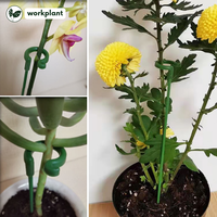 Gambar Tiang Penyangga Tanaman -  Turus Penopang Bunga Anggrek Bonsai Dll - 17cm dari workplant official Kota Surabaya 5 Tokopedia
