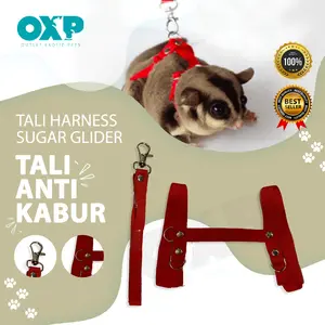 Tali harnes tuntun polos sugar glider tupai dan Marmut Guinea pig