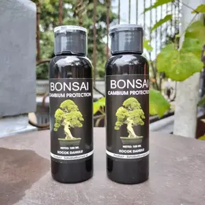 JB-Salep kambium premium, obat Salep kambium bonsai Premium