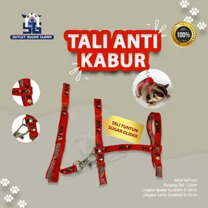 Tali Harnes tuntun sugar glider tupai dan Marmut Guinea pig