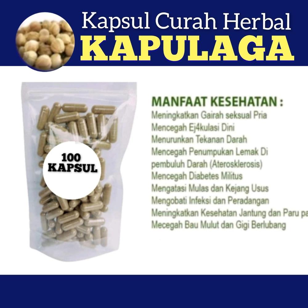 KAPULAGA 100 kapsul Curah Herbal Libido Bronkitis kejang