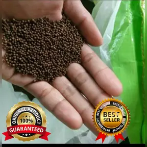 pelet ikan pf 1000 1kg pakan ikan pf1000