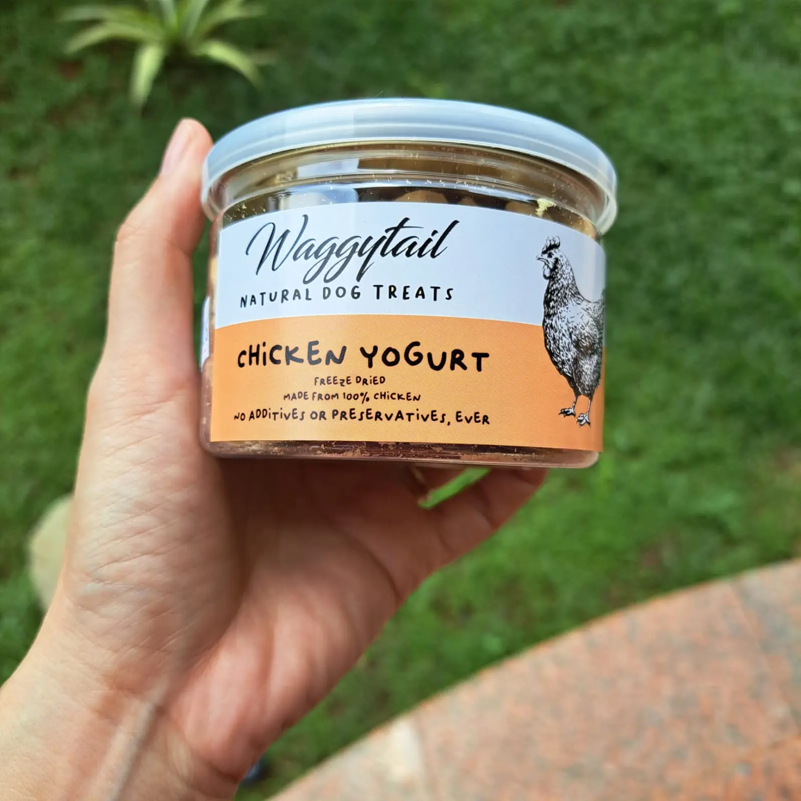 Chicken Yogurt freeze dried waggytail food topping snack anjing
