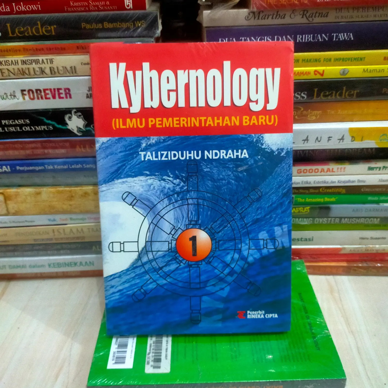 KIBERNOLOGY ilmu pemerintahan baru