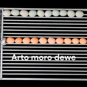 Rak Roller Mesin tetas Telur Kapasitas 100 Butir